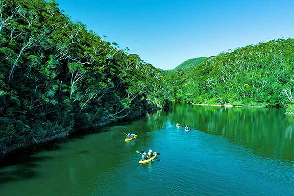 世界自然遺産候補地「沖縄本島北部・やんばるの森」のど真ん中、福地ダム湖面をカヌー＋森トレッキング！２つのアクティビティを楽しめる！